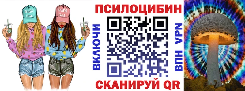 Купить где  Вольск  Псилоцибиновые грибы ЛСД 